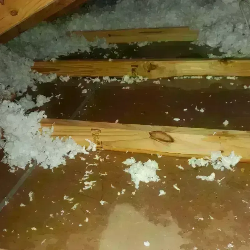 Attic Water Damage in Fulton County, IL