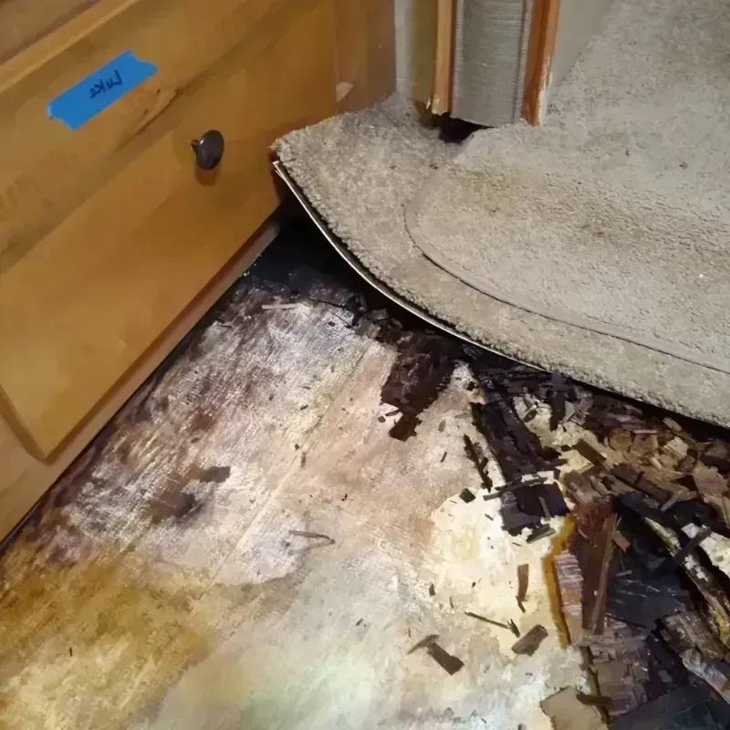 Wood Floor Water Damage in Fulton County, IL